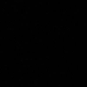 Meet your Posher, Pearl